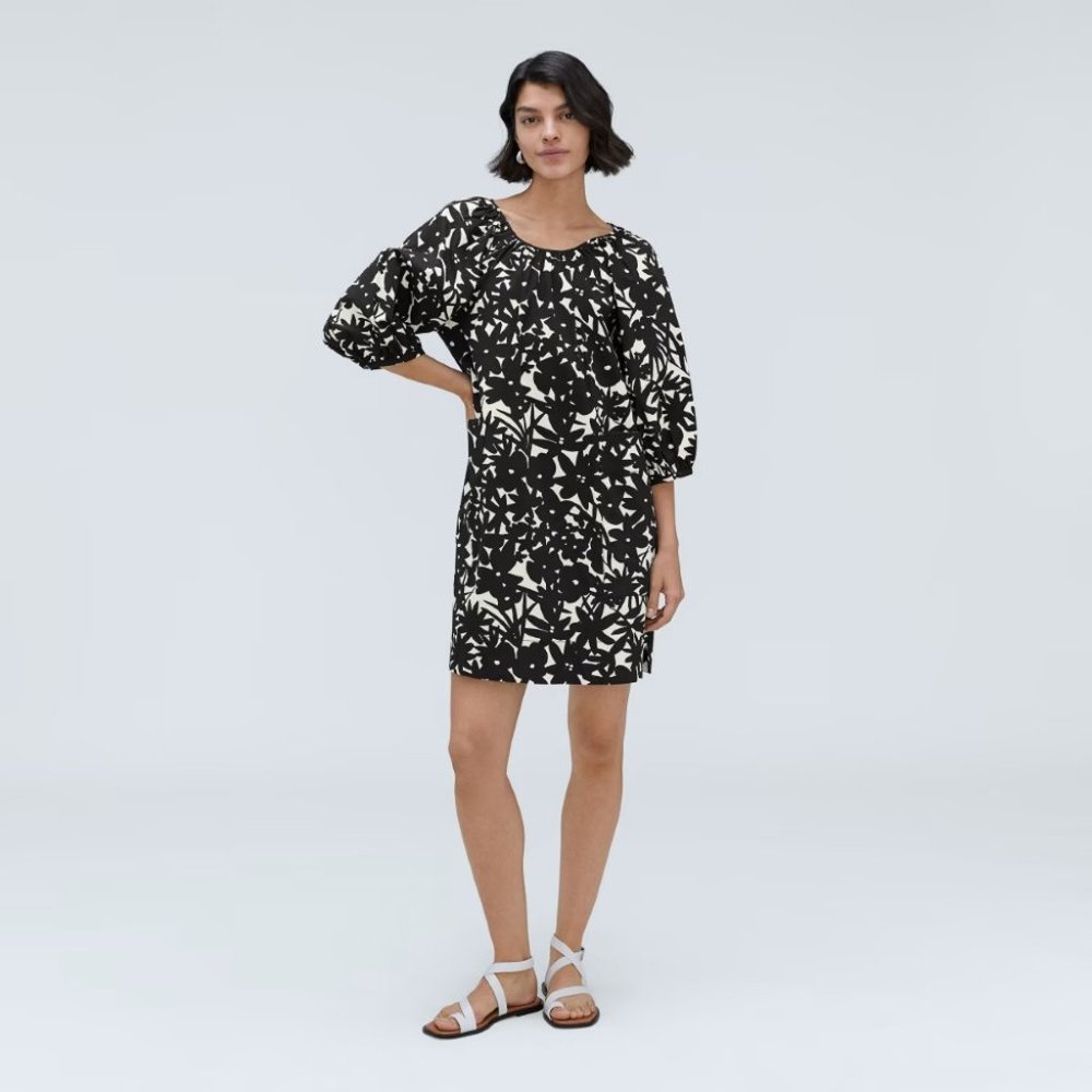 Everlane The Seersucker Puff Sleeve Dress